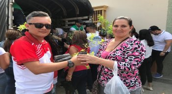 El Domingo de Ramos se entregarán árboles para evitar la comercialización de la palma y así cuidar la naturaleza. / Foto: Archivo / La Opinión 
