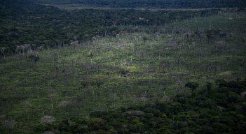 Deforestación amenaza la Amazonía. / Foto: AFP