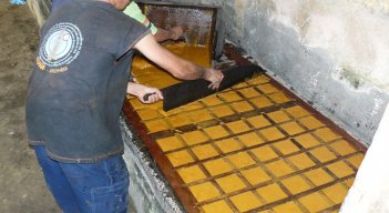 Los cañicultores de la provincia de Ocaña trabajan a pérdida por el vaivén de los mercados y la competencia de los edulcorantes a nivel nacional. / Foto: Cortesía / La Opinión 