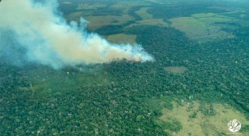 Expertos desconfían de cifras oficiales de deforestación 