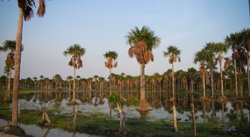 El sector privado desempeñó un papel crucial en la conservación de los ecosistemas mediante el fomento de prácticas ambientales y agrícolas y la implementación del impuesto al carbono en Colombia. / Foto: Cortesía