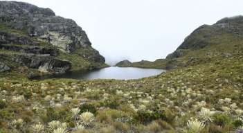 Páramo de Santurbán.  Foto: Colprensa