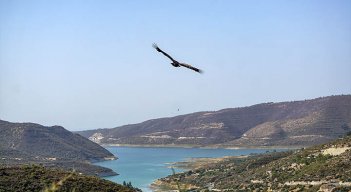 La contaminación plástica se apodera de ríos, lagos y playas