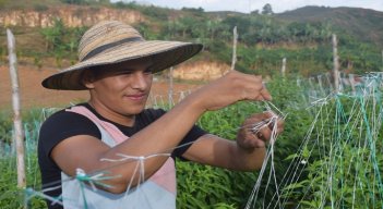 Jóvenes del Catatumbo reciben charlas y capacitaciones para que se queden en la región y preserven los cultivos lícitos.