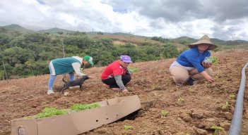 A través de alianzas productivas se promueven programas agropecuarios en zona rural de Ocaña.