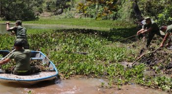 En Ocaña se adelantan programas ecológicos para conservar los humedales.