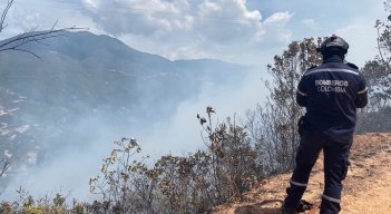 Se perdieron unas 50 hectáreas de capa vegetal. /Foto: Cortesía / La Opinión