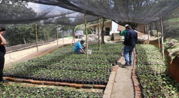 En el vivero El Edén del corregimiento de Buenavista de Ocaña germina el proyecto para la conservación de la biodiversidad del Catatumbo.