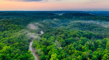 El Amazonas es la mayor selva tropical del mundo.