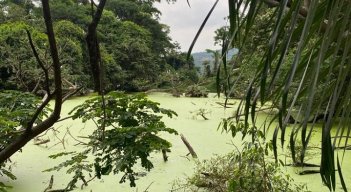 Actualmente Corponor, junto con la Secretaria de Medio Ambiente de la Gobernación de Norte de Santander y empresas del sector privado como Termotasajero S.A E.S.P, que se han vinculado activamente a este ejercicio, trabajan en pro de la declaratoria del humedal El Tinal, ubicado en zona rural de San Cayetano.