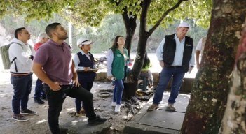 En Ocaña los árboles pasan a revisión fitosanitaria donde los expertos determinan si son talados. /Foto: Cortesía.