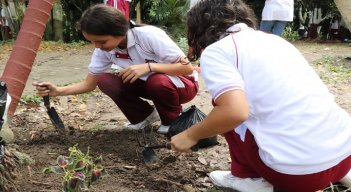 El Gobierno Municipal trabaja en actividades de educación y control ambiental para lograr una conciencia colectiva y una ciudad más sostenible./ Foto: Cortesía