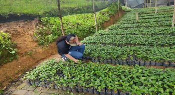 Las mujeres campesinas reforestan las cuencas hidrográficas de Ocaña./ Cortesía.