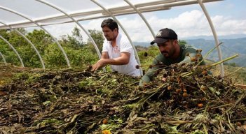 Biofábricas mueven el engranaje de convivencia en el Catatumbo
