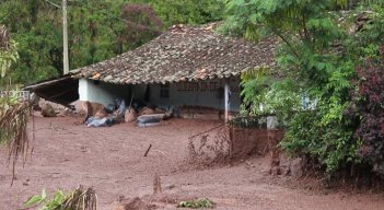 Los damnificados esperan la reubicación en fincas cercanas para continuar labores agrícolas y resarcir las pérdidas económicas.