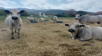 La Federación Colombiana de Ganaderos, Fedegán, capacitó a los campesinos sobre las buenas prácticas agropecuarias./ Foto: Cortesía