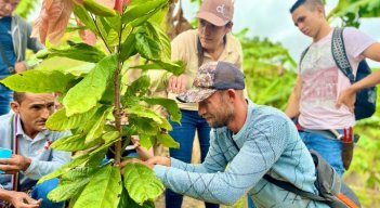 Campesinos reciben la transferencia de conocimiento sobre el cacao en sus parcelas/Foto Cortesía