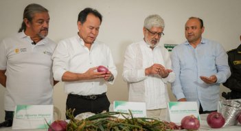 Mincomercio llega a Ocaña para atender a los cultivadores de cebolla roja  