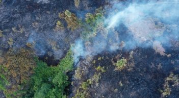 Un incendio forestal arrasó con abundante capa vegetal en zona de frontera entre Ocaña y La Playa de Belén./ Cortesía