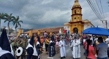 Siete mil árboles serán entregados el Domingo de Ramos en Ocaña./Foto Cortesía/La Opinión.