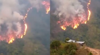 Incencio Ocaña