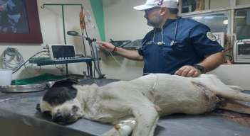En Ocaña se promueve la Unidad de Bienestar Animal en condiciones de vulnerabilidad./ Javier Sarabia/La Opinión