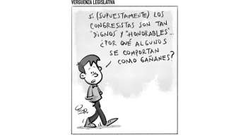 Vergüenza legislativa