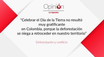 Deforestación y conflicto