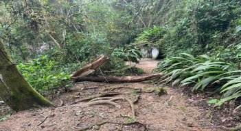 Ante la proximidad de las fiestas patronales voceros comunales solicitan el arreglo del sendero peatonal hacia el santuario/ Foto: Cortesía