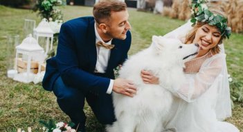 Perros podrán ser testigos en matrimonios