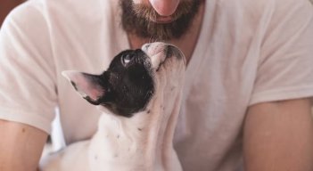 Un estudio piloto comprueba cómo el olor del estrés humano afecta al aprendizaje y al estado emocional de los perros, que recoge la revista Scientific Reports.