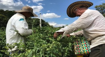 Prosperidad Social anuncia la construcción de 4 Puntos de Abastecimiento Solidario en la zona del Catatumbo./ Foto: Cortesía