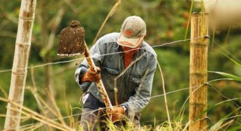 Las cifras demuestran que la adjudicación y formalización de tierras está lejos de cumplirse en los 4 años que restan para su implementación. /Foto archivo