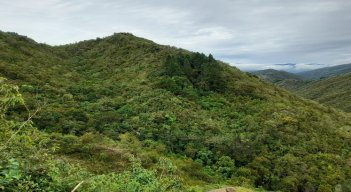 En Ocaña se adelanta un diagnóstico para determinar el estado de las reservas forestales para la conservación de los recursos naturales.