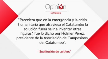 Sustitución de cultivos