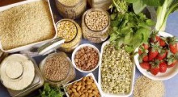 Fibra