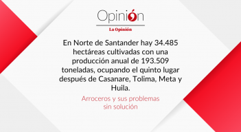 Arroceros y sus problemas sin solución