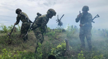 La erradicación forzada que adelanta la Fuerza Pública.
