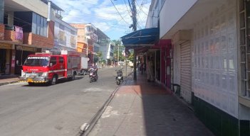ATAQUE DE ABEJAS EN CÚCUTA 