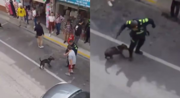 Policía abatió perro