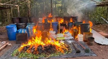 La Armada, el Ejército y la Policía destruyeron cinco laboratorios de pasta base de coca en Cumaribo, Vichada, que generaban millonarios ingresos al Frente 44 'Antonio Ricaurte' del Estado Mayor Central.