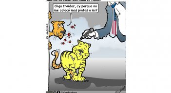 Más rayas positivas para el tigre