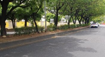 Los Patios Cementerios