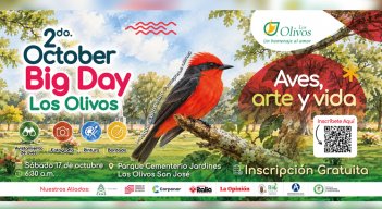 El Parque de Vida Los Olivos llega a 86 especies de aves registradas y se prepara para su segundo October Big Day