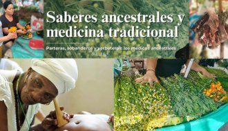 saberes
