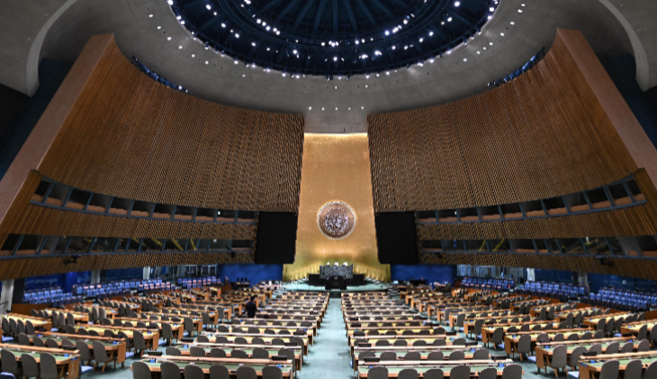 Organización de las Naciones Unidas.