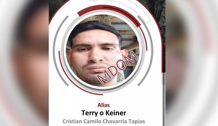 ALIAS TERRY 