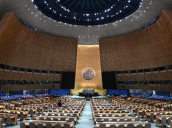 Organización de las Naciones Unidas.