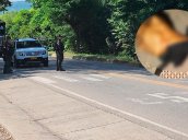 El cuerpo fue encontrado al margen de la vía que comunica a La Ye Astilleros, en El Zulia, con Tibú. / Foto: Cortesía