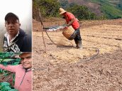 Son muy pocos los productores que se adelantan a las pérdidas y se soportan en un seguro agropecuario. / Fotos cortesía